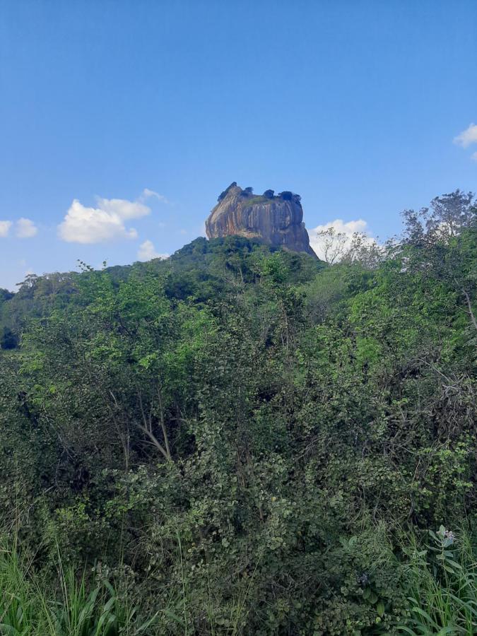 Hotel Chanara Sigiriya Exteriör bild